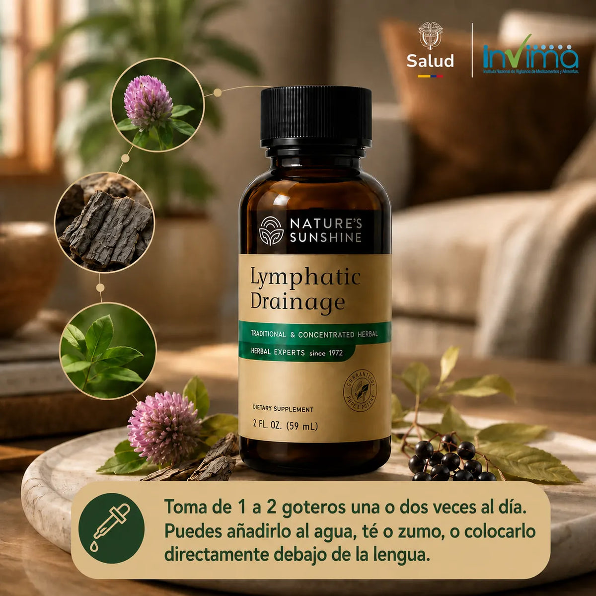 Lymphatic Drainage - Gotas Herbales de Bienestar