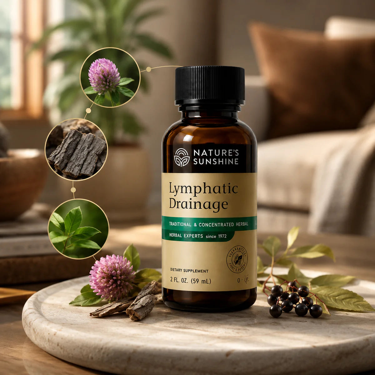 Lymphatic Drainage™ Nature's Sunshine